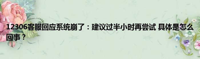 12306客服回应系统崩了：建议过半小时再尝试 具体是怎么回事？