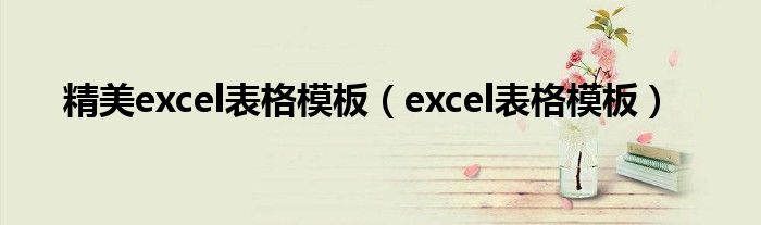 精美excel表格模板（excel表格模板）