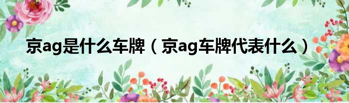 京ag是什么车牌（京ag车牌代表什么）