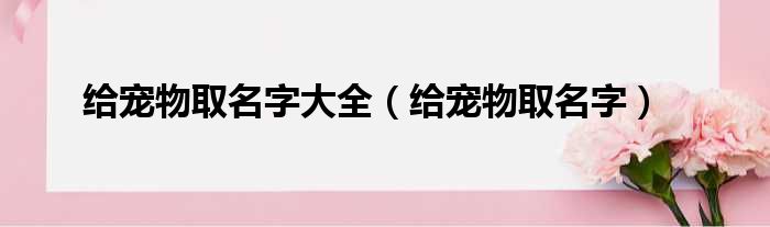 给宠物取名字大全（给宠物取名字）