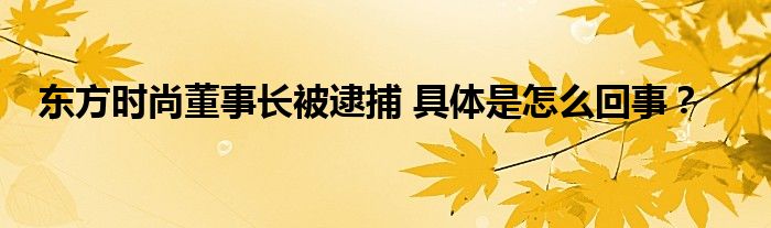 东方时尚董事长被逮捕 具体是怎么回事？