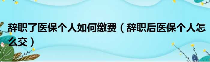 辞职了医保个人如何缴费（辞职后医保个人怎么交）