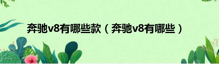 奔驰v8有哪些款（奔驰v8有哪些）