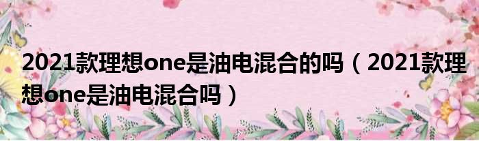 2021款理想one是油电混合的吗（2021款理想one是油电混合吗）