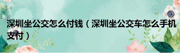 深圳坐公交怎么付钱（深圳坐公交车怎么手机支付）