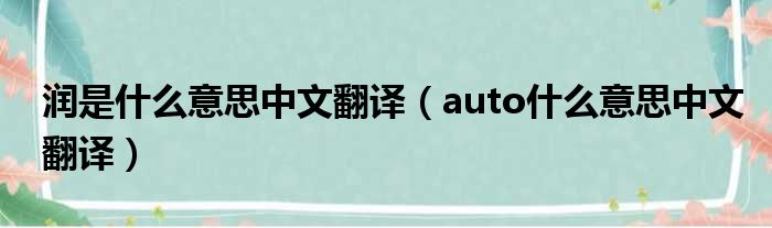 润是什么意思中文翻译（auto什么意思中文翻译）