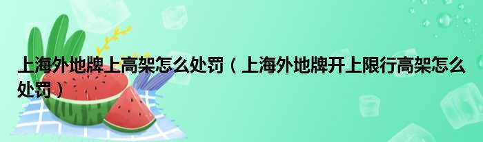 上海外地牌上高架怎么处罚（上海外地牌开上限行高架怎么处罚）