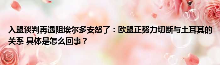 入盟谈判再遇阻埃尔多安怒了：欧盟正努力切断与土耳其的关系 具体是怎么回事？