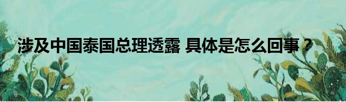 涉及中国泰国总理透露 具体是怎么回事？