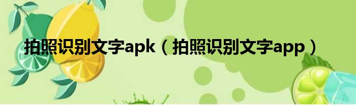 拍照识别文字apk（拍照识别文字app）