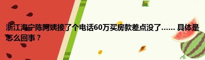 浙江海宁陈阿姨接了个电话60万买房款差点没了…… 具体是怎么回事？