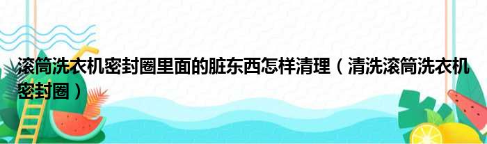 滚筒洗衣机密封圈里面的脏东西怎样清理（清洗滚筒洗衣机密封圈）