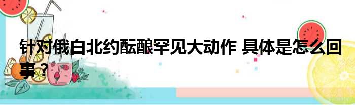 针对俄白北约酝酿罕见大动作 具体是怎么回事？