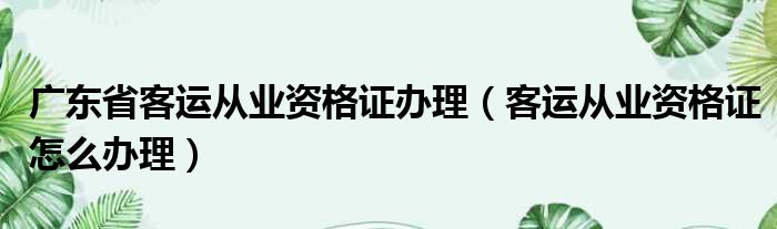 广东省客运从业资格证办理（客运从业资格证怎么办理）