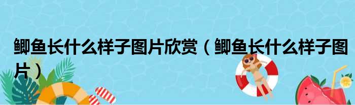 鲫鱼长什么样子图片欣赏（鲫鱼长什么样子图片）