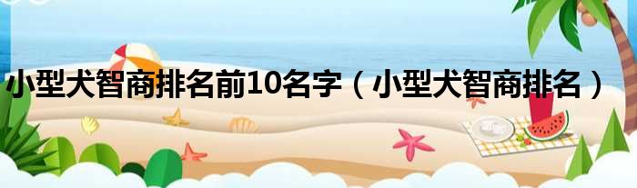 小型犬智商排名前10名字（小型犬智商排名）