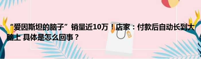 “爱因斯坦的脑子”销量近10万！店家：付款后自动长到大脑上 具体是怎么回事？