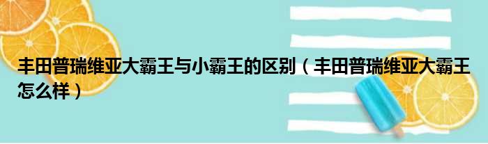 丰田普瑞维亚大霸王与小霸王的区别（丰田普瑞维亚大霸王怎么样）