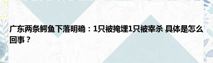 广东两条鳄鱼下落明确：1只被掩埋1只被宰杀 具体是怎么回事？