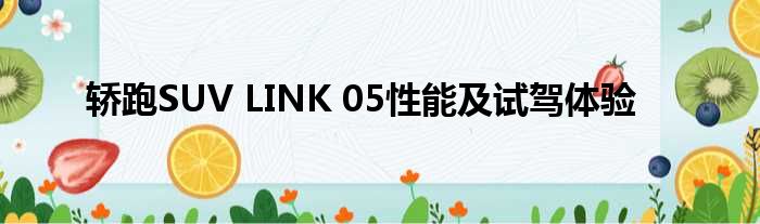 轿跑SUV LINK 05性能及试驾体验