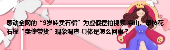 感动全网的“9岁娃卖石榴”为虚假摆拍视频 凉山、攀枝花石榴“卖惨带货”现象调查 具体是怎么回事？