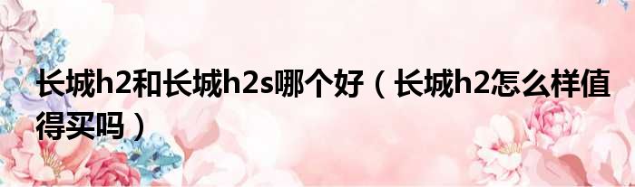 长城h2和长城h2s哪个好（长城h2怎么样值得买吗）