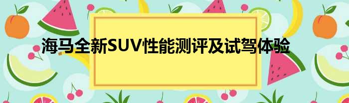 海马全新SUV性能测评及试驾体验