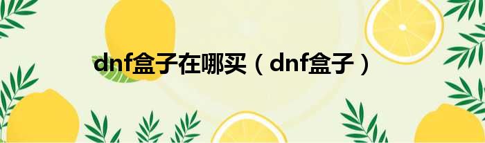 dnf盒子在哪买（dnf盒子）