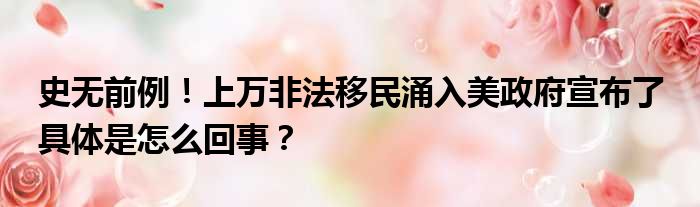 史无前例！上万非法移民涌入美政府宣布了 具体是怎么回事？