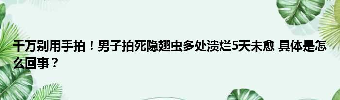 千万别用手拍！男子拍死隐翅虫多处溃烂5天未愈 具体是怎么回事？