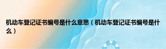 机动车登记证书编号是什么意思（机动车登记证书编号是什么）