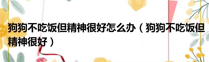 狗狗不吃饭但精神很好怎么办（狗狗不吃饭但精神很好）