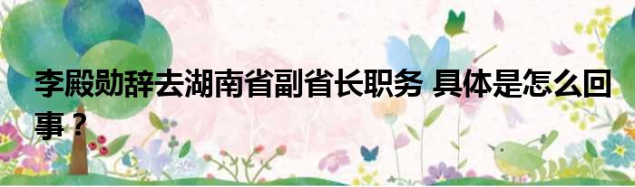 李殿勋辞去湖南省副省长职务 具体是怎么回事？