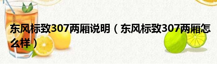 东风标致307两厢说明（东风标致307两厢怎么样）