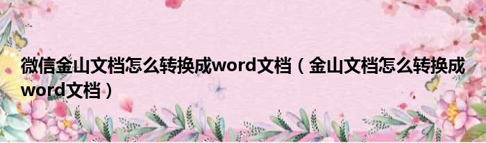 微信金山文档怎么转换成word文档（金山文档怎么转换成word文档）