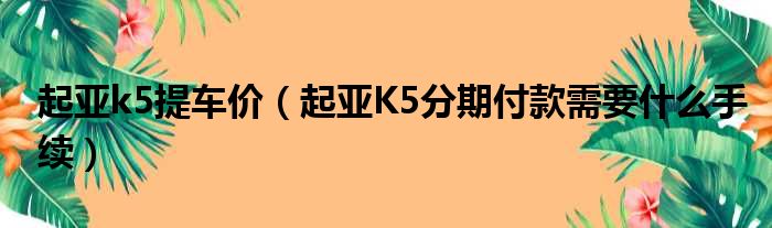 起亚k5提车价（起亚K5分期付款需要什么手续）