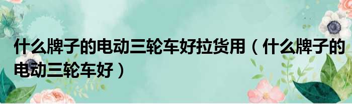 什么牌子的电动三轮车好拉货用（什么牌子的电动三轮车好）