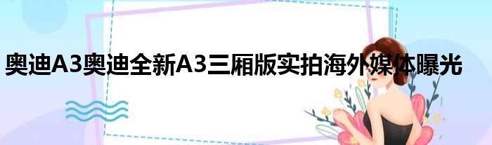 奥迪A3奥迪全新A3三厢版实拍海外媒体曝光