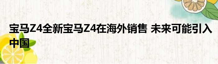 宝马Z4全新宝马Z4在海外销售 未来可能引入中国