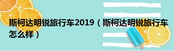 斯柯达明锐旅行车2019（斯柯达明锐旅行车怎么样）