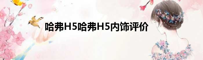 哈弗H5哈弗H5内饰评价