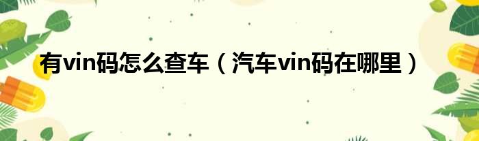 有vin码怎么查车（汽车vin码在哪里）