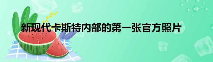 新现代卡斯特内部的第一张官方照片