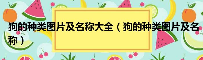 狗的种类图片及名称大全（狗的种类图片及名称）