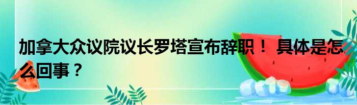 加拿大众议院议长罗塔宣布辞职！ 具体是怎么回事？