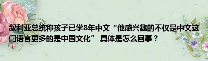 叙利亚总统称孩子已学8年中文“他感兴趣的不仅是中文这门语言更多的是中国文化” 具体是怎么回事？