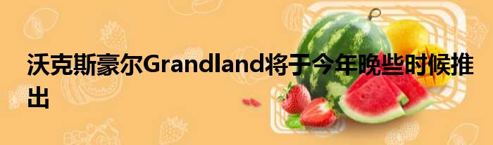 沃克斯豪尔Grandland将于今年晚些时候推出