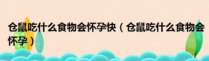 仓鼠吃什么食物会怀孕快（仓鼠吃什么食物会怀孕）