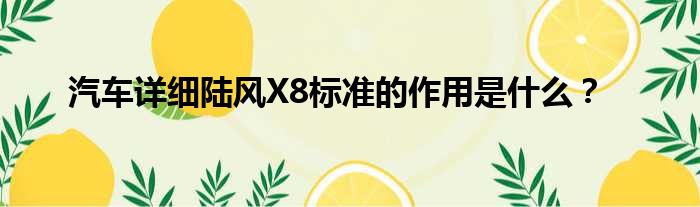 汽车详细陆风X8标准的作用是什么？