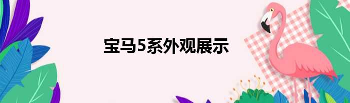 宝马5系外观展示